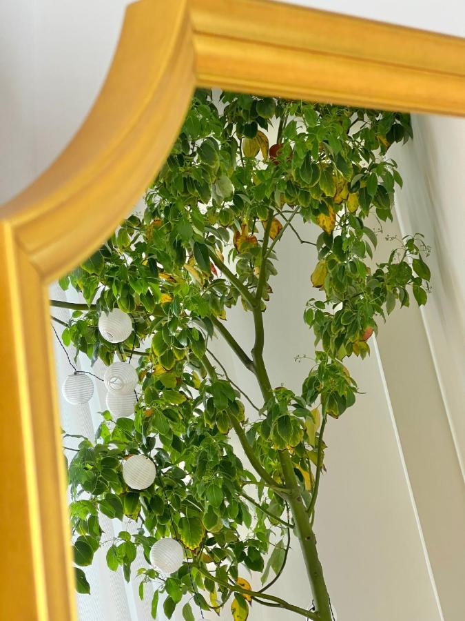 #Lemon Tree By Halu! Apartments Salonicco Esterno foto